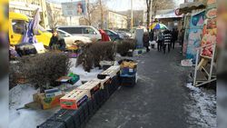 Стихийная торговля на улице Московской ликвидирована <i>(фото)</i>