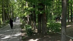 Вопрос аварийного забора в сквере «Физкультурный» в компетенции Госэкотехинспекции, - мэрия