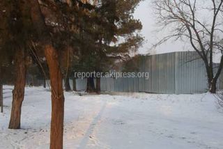 Мэрия Бишкека просит уточнить расположение строительства на зеленой зоне вдоль улицы Байтика Баатыра