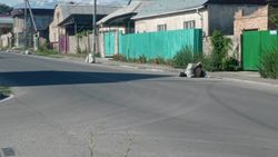 В новостройке Кара-Жыгач не вывозят мусор третий день, - житель.