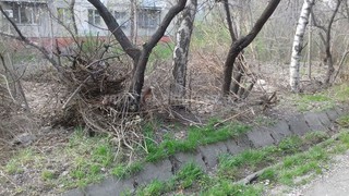 Горки из листвы и мусора лежат на тротуаре в 4 и 5 мкр (фото)