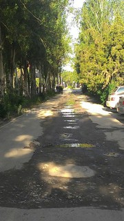 Улицу Огонбаева не восстанавливают после перекопки уже полгода, - читатель <i>(фото)</i>