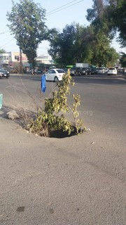 Яма на перекрестке Московская-Некрасова все еще открыта и опасна для всех, - читатель <i>(фото)</i>