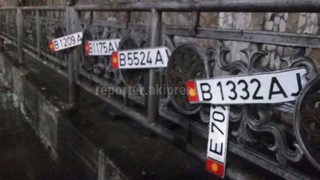 Автовладельцы потеряли свои госномера в луже под мостом на Молодой Гвардии <i>(фото, видео)</i>