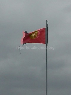 Читатель просит поменять порванный флаг в селе Новопавловка (фото)