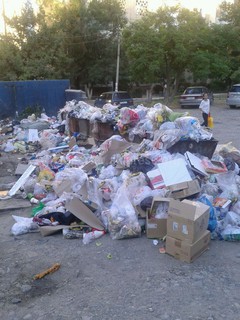 Читатель жалуется, что мусор возле дома №5 в мкр Аламедин-1 не вывозится уже 10 дней (фото)