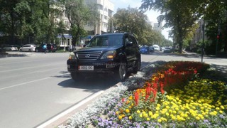 На бульваре Эркиндик Lexus припарковалась заехав на бордюр с цветочной клумбой, - читатель <i>(фото)</i>