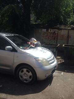 Водителя машины, закрывшей доступ к мусорным бакам, наказали, бросив мусор на капот <i>(фото)</i> Водителя машины, закрывшей доступ к мусорным бакам, наказали, бросив мусор на капот <i>(фото)</i>