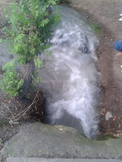 Не засушивают ли западную часть парка Ататюрка для того, чтобы построить там многоэтажки? - горожанин <i>(фото)</i>