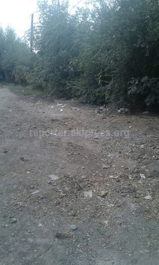 Мусор на перекрестке Тайшетской-Матыева в Рабочем городке ликвидирован <i>(фото)</i>