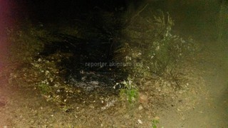 В Канте «Зеленстрой» не полностью убирает за собой остатки сухих веток, из-за чего произошел пожар, - читатель (фото)