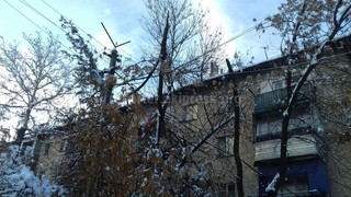 Сломавшаяся ветка оборвала ЛЭП возле ряда домов в мкр СМУ в Жалал-Абаде, отчего жильцы домов остались без света и отопления, - читатель (фото)