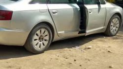Возле детского сада №47 две девушки на автомобиле «Ауди» выбросили мусор на дорогу (фото)