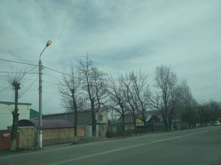 На ул.Салиевой днем горят фонари, - бишкекчанин