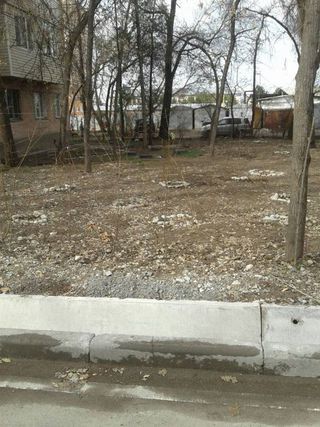 Жители дома по ул.Скрябина: Мы только посадили деревья, а их хотят срубить <i>(фото)</i>