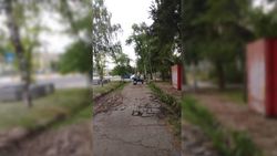 На улице Байтик Баатыра водители паркуют машины на тротуаре. Видео