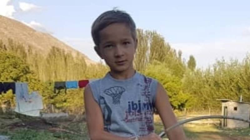 10-летний Айрат отдал своих цыплят, чтобы медиков в Бишкеке бесплатно кормили. Видео
