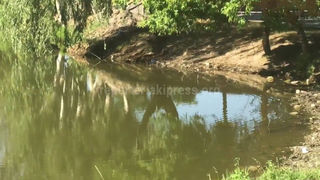 Житель Чуйской области возмущен состоянием водоема в селе Комсомольское (видео)