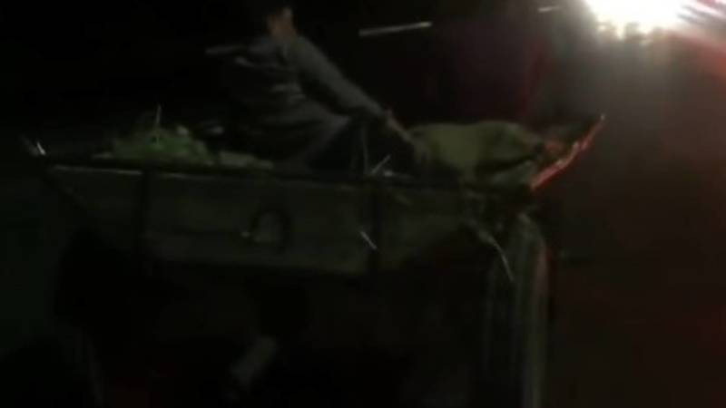 По Жибек Жолу ночью ездит бричка. Видео