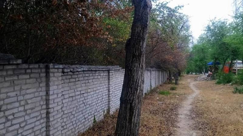 Мы теряем Ботанический сад, он засыхает, - бишкекчанка (фото)