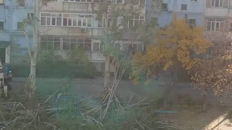 Почему в Тунгуче вырубают здоровые тополя? - горожанка. Фото