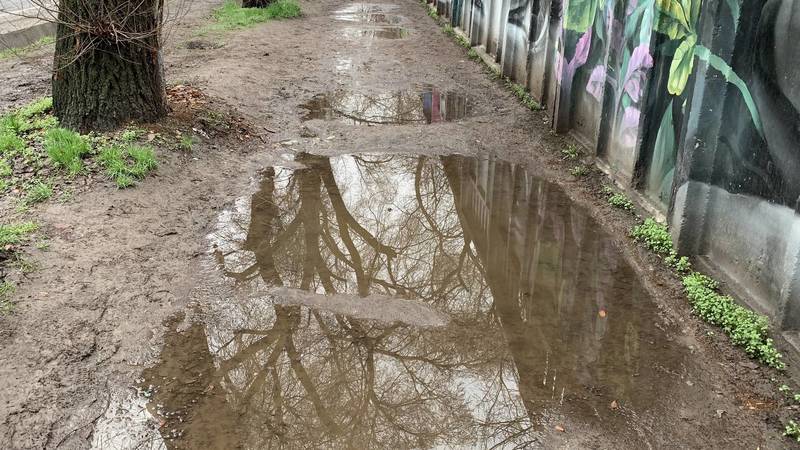 «Грязь и лужи». Тротуары возле Ботсада в ужасном состоянии. Фото горожанина