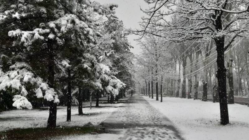 Мартовский снегопад в Бишкеке. Фото горожан