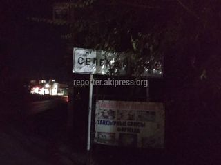 Надпись перед въездом в село Селекционное загораживают ветки