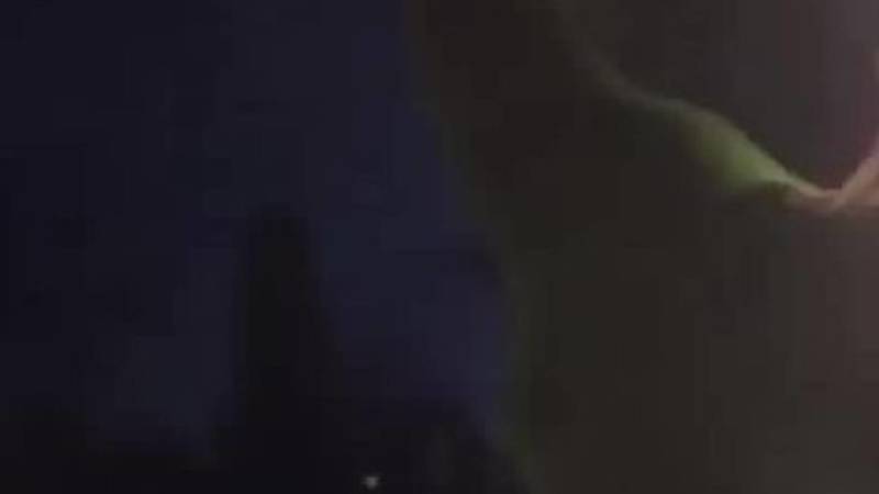 В парке «Ынтымак» люди повреждают топиарные фигуры животных. Видео