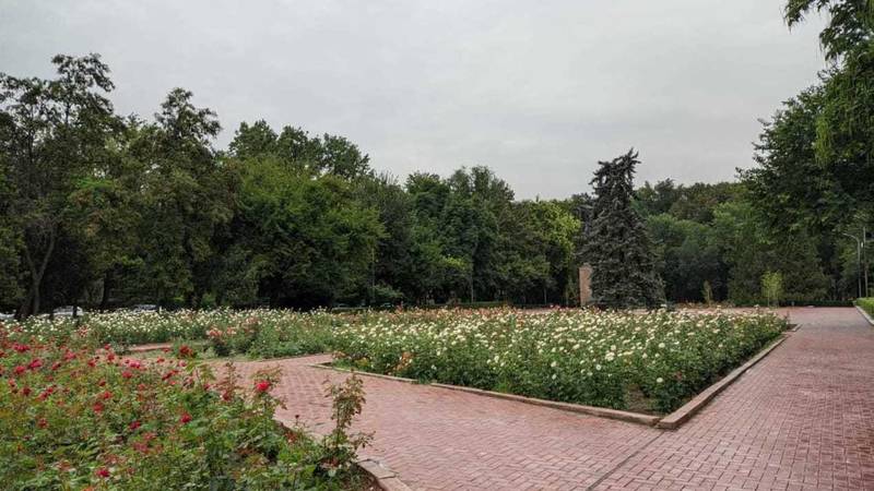 Дождливый Эркиндик. Фотографии горожанина