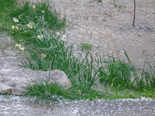 В Оше в апреле выпал град и прошел ливень, - читатель <b><i> (фото) </i></b>