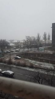 5 мкр