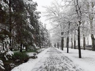 Проспект Чынгыза Айтматова