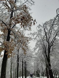 Проспект Чынгыза Айтматова