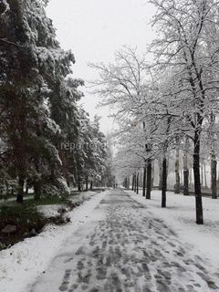 Проспект Чынгыза Айтматова
