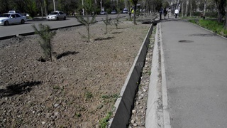 По ул. Донецкой производили посадку живой изгороди и деревьев, при этом засорив арыки камнями и крупными кусками глины, - читатель <b><i>(фото)</i></b>