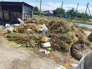 Ак-Орго, Омуракунова