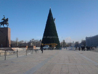 Главная елка примерила новогодний наряд, - читатель <b><i>(фото)</i></b>