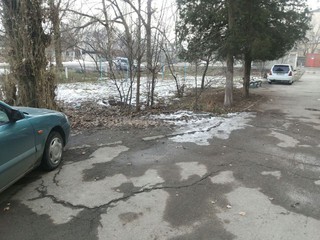 Житель Сокулука просит ликвидировать аварийные деревья по ул.Мичурина (фото) Житель Сокулука просит ликвидировать аварийные деревья по ул.Мичурина (фото)