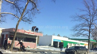 Законно ли установлен павильон в 9 мкр? - горожанин (фото)