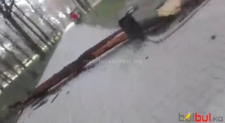 На бульваре Эркиндик в парковой зоне упало дерево <i>(видео)</i>