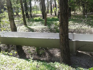 Полив зеленых насаждений в парке Ататюрка будет производиться соответствующим образом, - мэрия