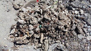 «Бишкекводоканал» предписал колбасному цеху «Божан» установить системы предочистки, - «Бишкекводоканал» <i>(фото)</i>