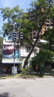 Читатель просит спилить аварийное дерево на Гоголя-Фрунзе (фото)