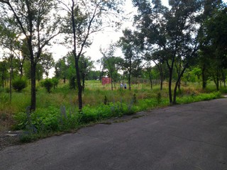 В парке на Южных воротах неизвестные установили контейнер в зеленой зоне, - горожанин <i>(фото)</i>