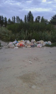 В жилмассиве Ак-Орго по ул.Алыкулова уже третью неделю не вывозят мусор, - читатель (фото)