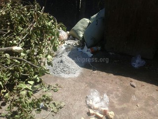 На ул.Гражданской в мкр Восток-5 бросают золу на землю, а не в мусорный бак, - читатель (фото) На ул.Гражданской в мкр Восток-5 бросают золу на землю, а не в мусорный бак, - читатель (фото)