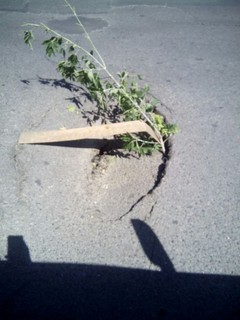 На перекрестке Ахунбаева-Юнусалиева начал проваливаться асфальт <i>(фото)</i>