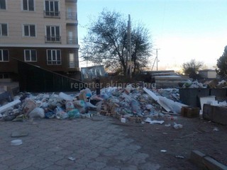 Читатель жалуется на нехватку мусорных контейнеров в жилкомплексе «Ала-Тоо» (фото)