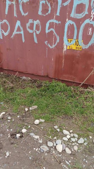 «Тазалык сервис» Фрунзенского айыл окмоту очистил мусор, скопленный рядом с жилыми домами (фото)